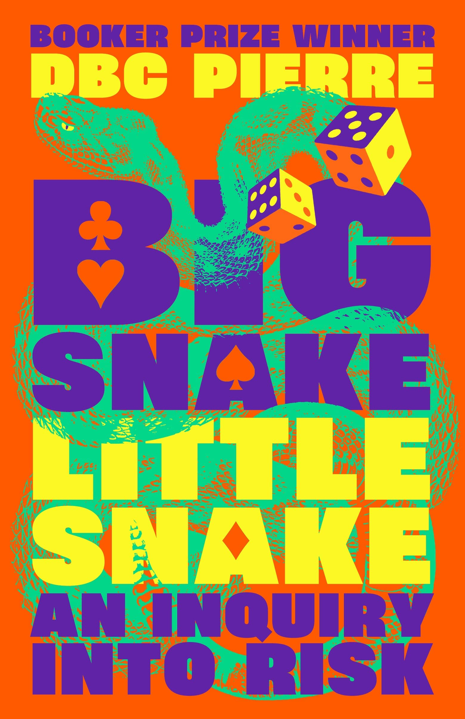 Big Snake Little Snake by DBC Pierre